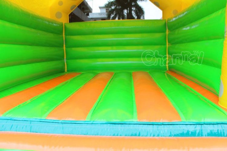 inflatable bouncy bed