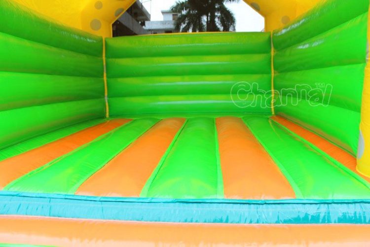 inflatable bouncy bed
