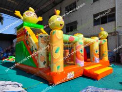 CHOB2463d