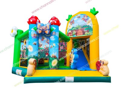 bugs inflatable combo