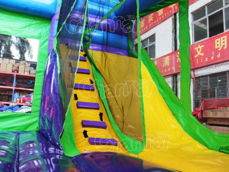 Scooby Doo bounce house with slide