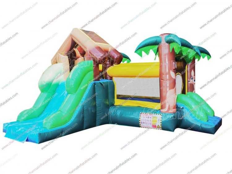 kangaroo theme small inflatable combo