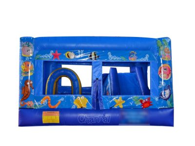 sea fishes inflatable combo