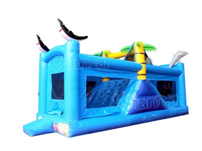 blue dolphin inflatable combo