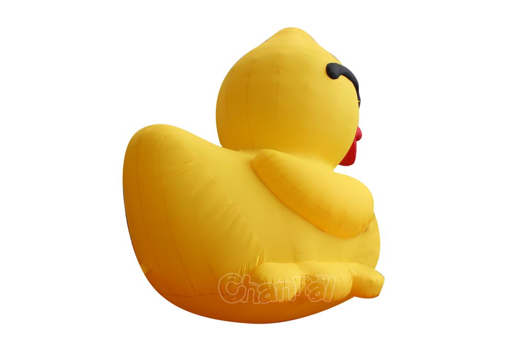 inflatable duck with sunglasses