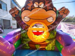 CHOB2448c