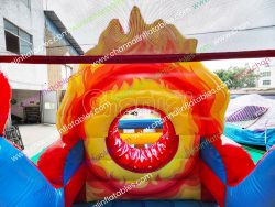 CHOB2450d