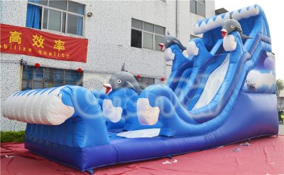 dolphins inflatable slide