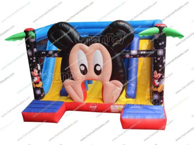 mickey mouse double slide