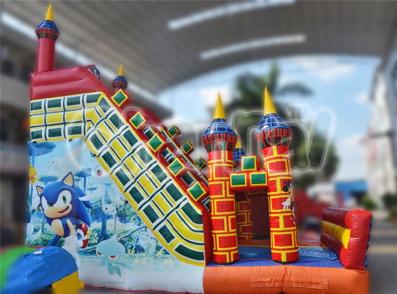 sonic water slide