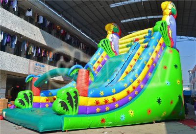 parrots inflatable slide