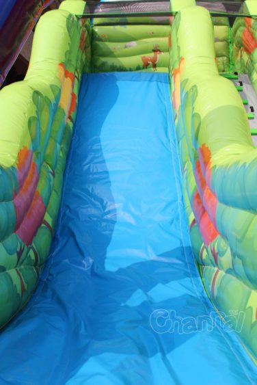 inflatable forest slide