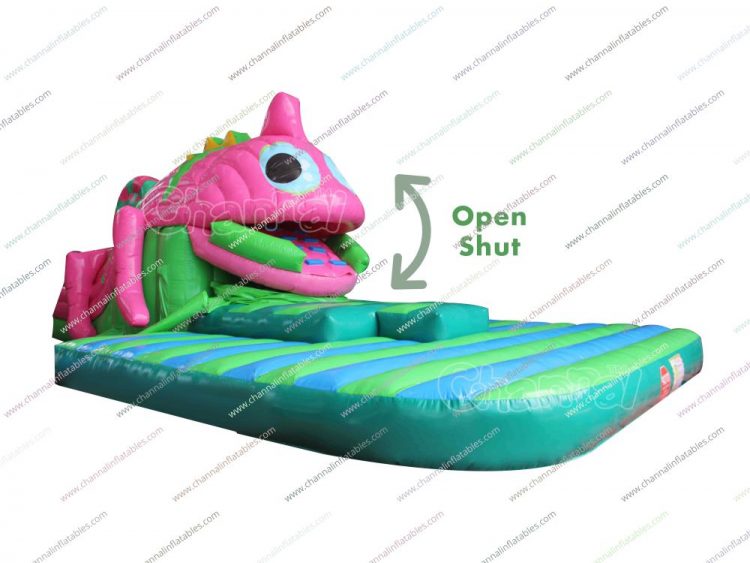 inflatable swallow slide
