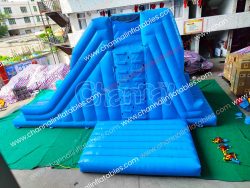 CHSP2457b