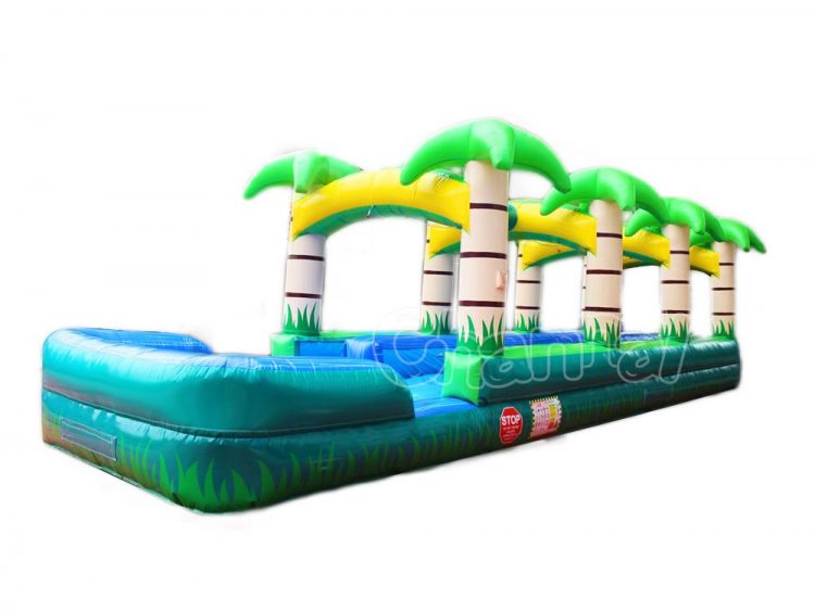 palm tree dual lane slip n slide