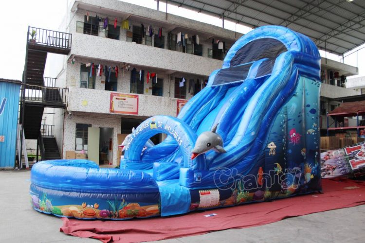 heavy duty ocean inflatable water slide for sale