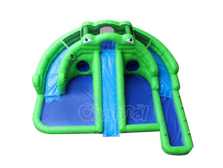 frog backyard water slide with pool