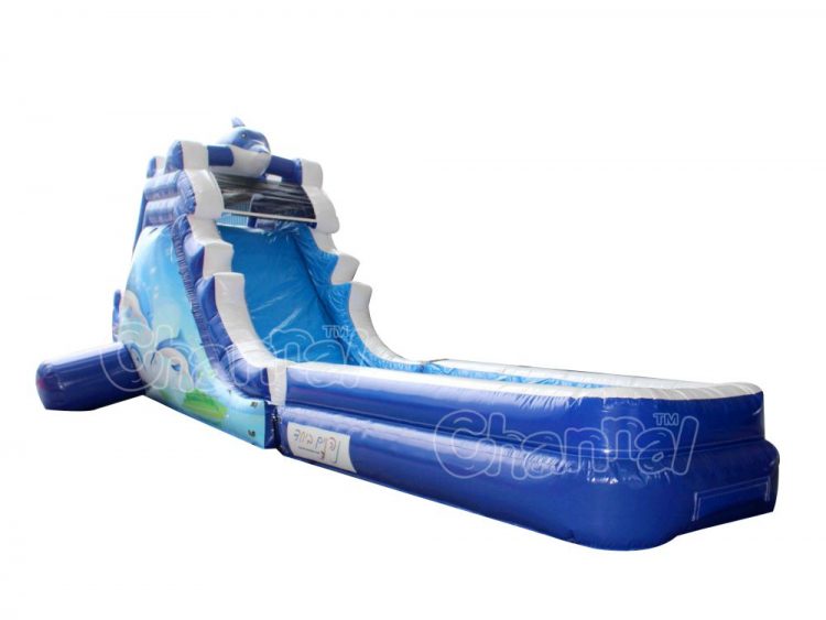 dolphin inflatable water slide