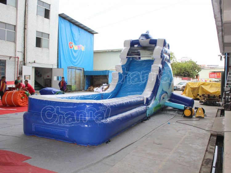 small inflatable dolphin water slide