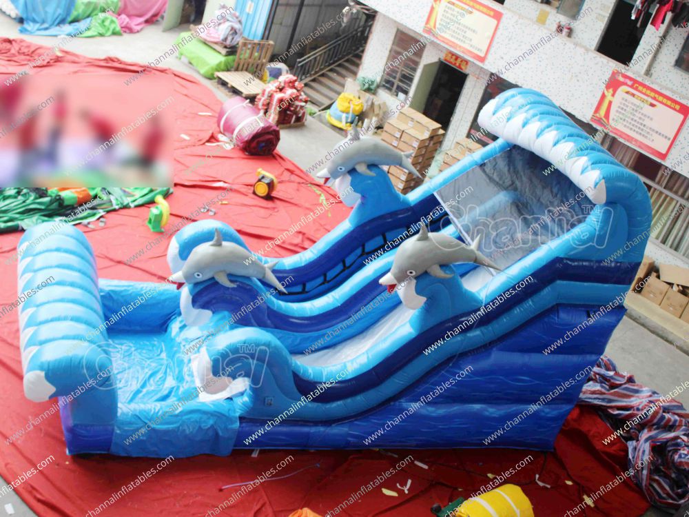Dolphin Water Slide Channal Inflatables
