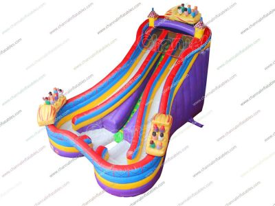 amusement park roller coaster inflatable water slide for kids