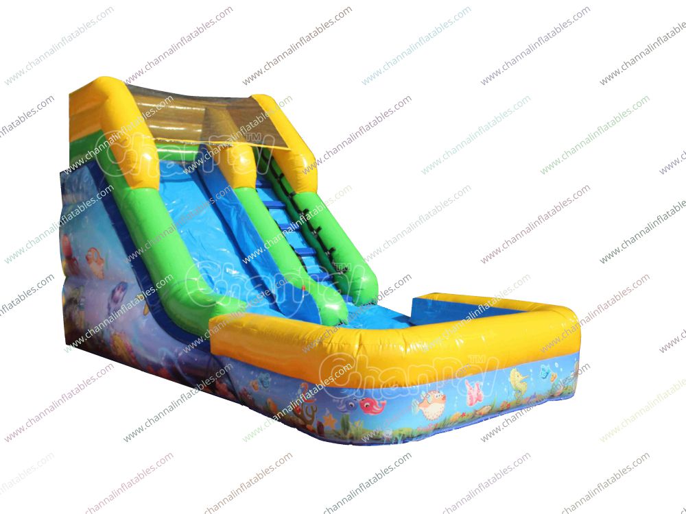 Giant Inflatable Water Slide for Kids Aged 3-10 Years
