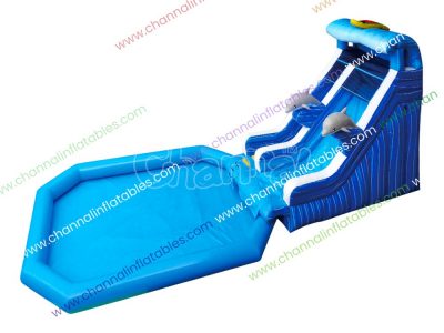 dolphin theme water slide with large pool