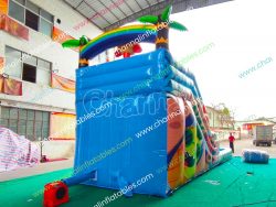CHSL1257d