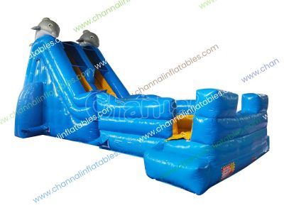 dolphin theme dual water slide