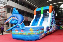 CHSL283d