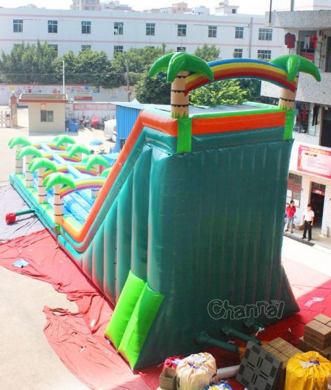 big palm tree waterslide backview